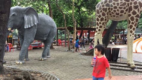 MANILA ZOO: All You Need to Know BEFORE You .